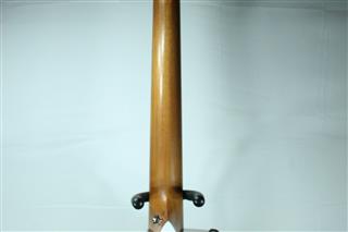 TAYLOR GUITARS 214CE DLX